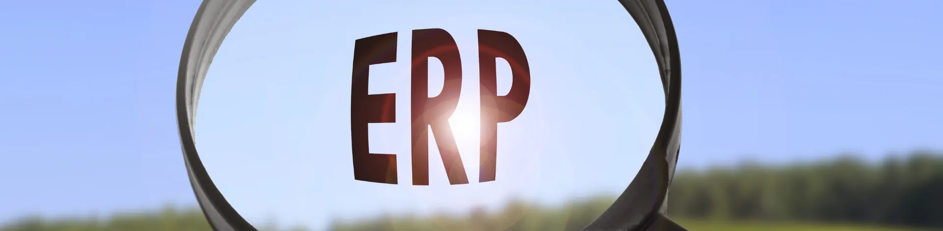 ERP