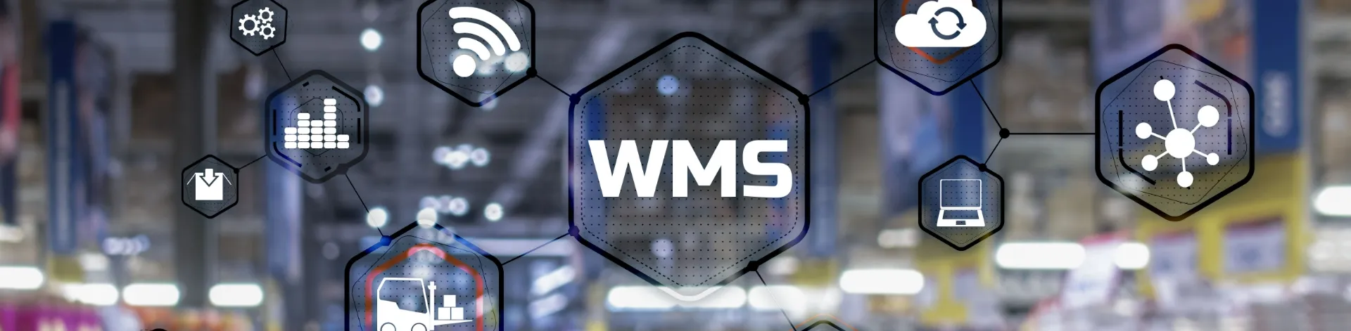 WMS